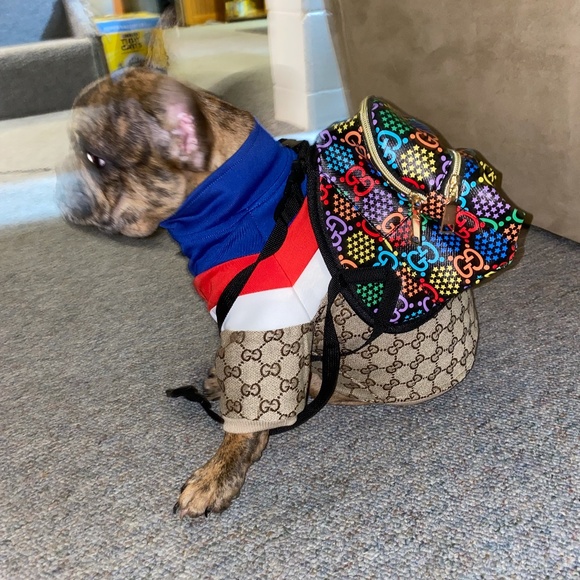 Hawaiian Doggy Coat